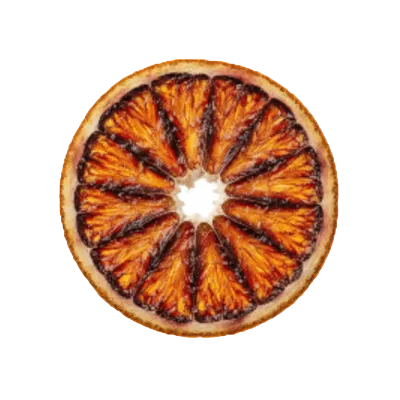 Bulk dehydrated blood orange slices for high volume bars ToGarnish