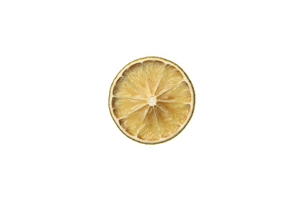 Dehydrated Lime Garnish – Wholesale Bulk Pack 1LB | ToGarnish