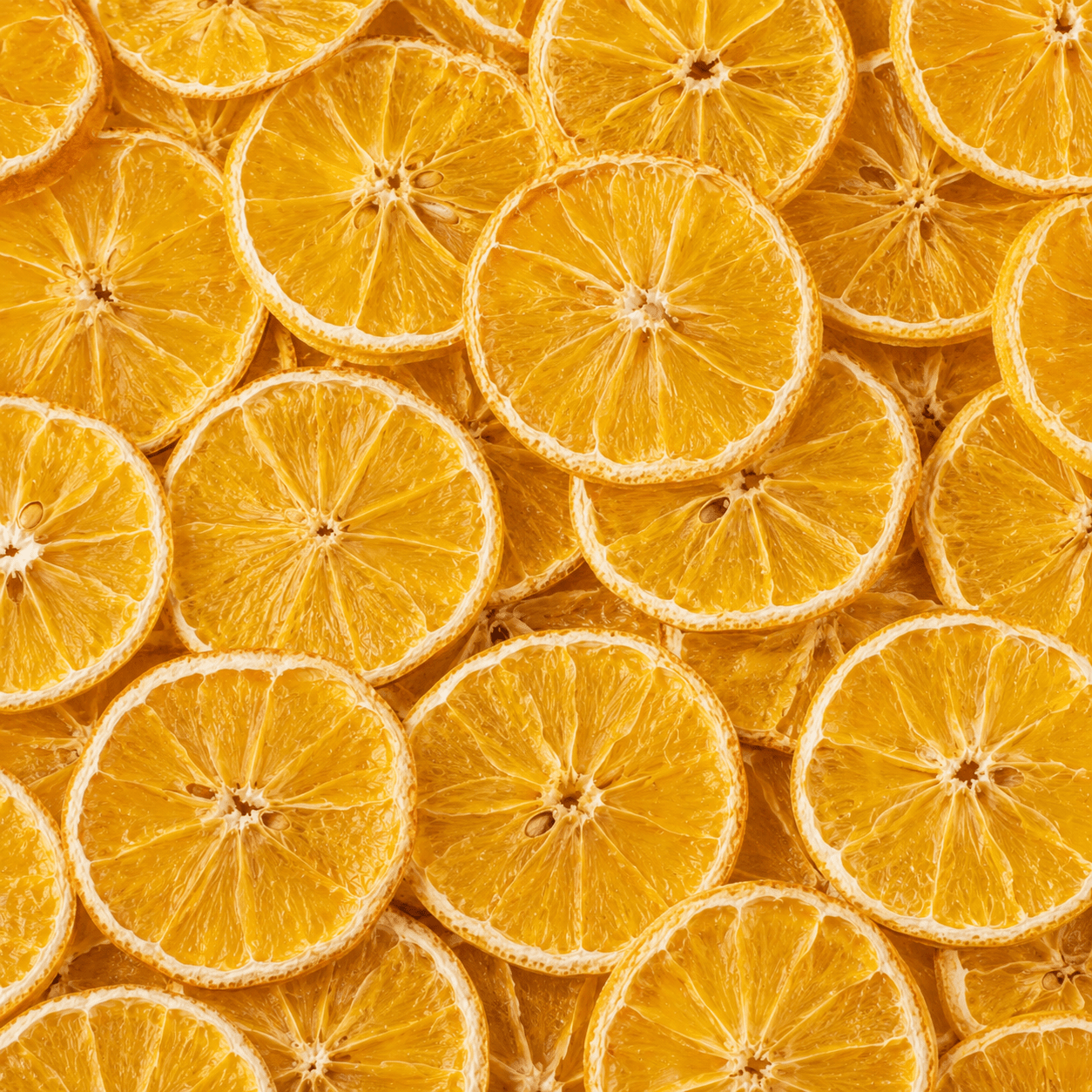 Dried orange slices cocktail garnish 4oz decorative drink slices ToGarnish
