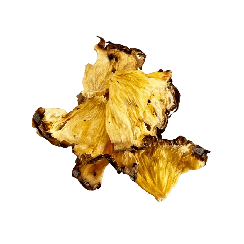 Dehydrated pineapple slices 1lb bulk pack for catering and events ToGarnish