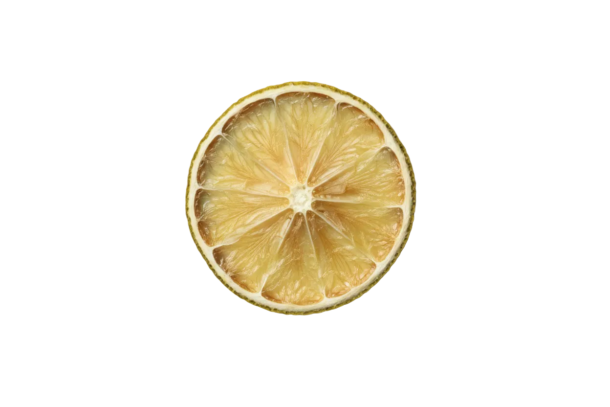 Sliced lemon on a white background