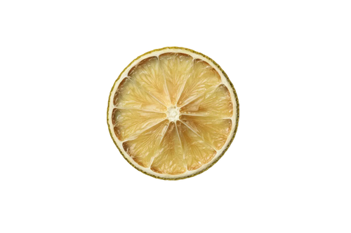 Sliced lemon on a white background